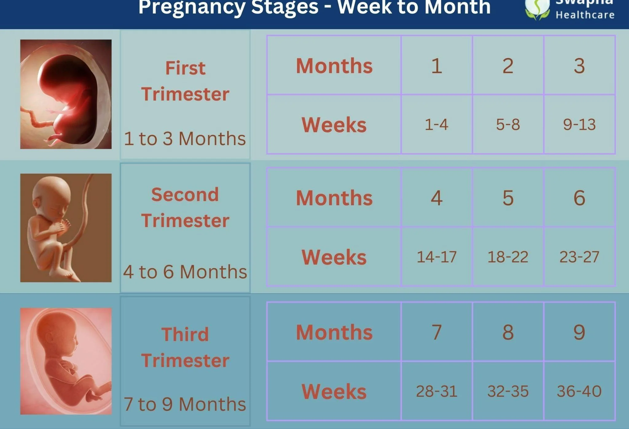 Pregnancy Weeks to Months Chart